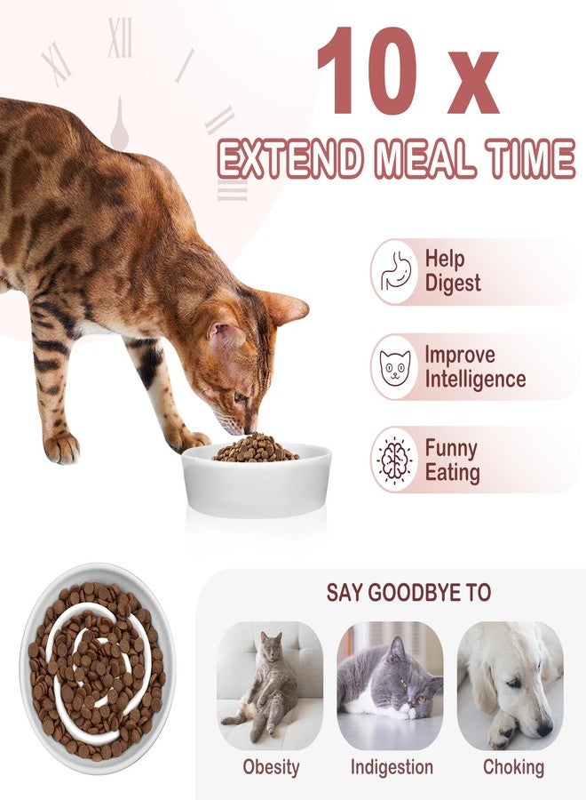 TRUVIC Ceramic Slow Feeder Dog Bowls Small Breed, 0.6 Cup Slow Feeder Cat Bowls for Fast Eaters, Ceramic Dog Food Dish no Black Chin, Puzzle Bowl for Small Dogs and Cats, White - Image 3